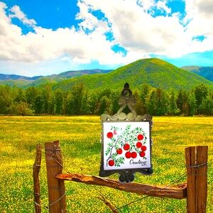 Vintage Cranberries Cast Iron Framed Tile Trivet